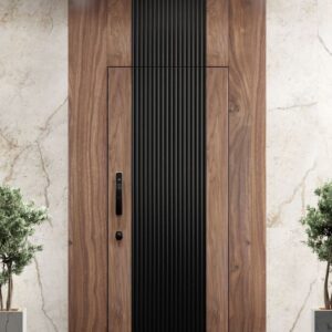 high quality DT0001 door